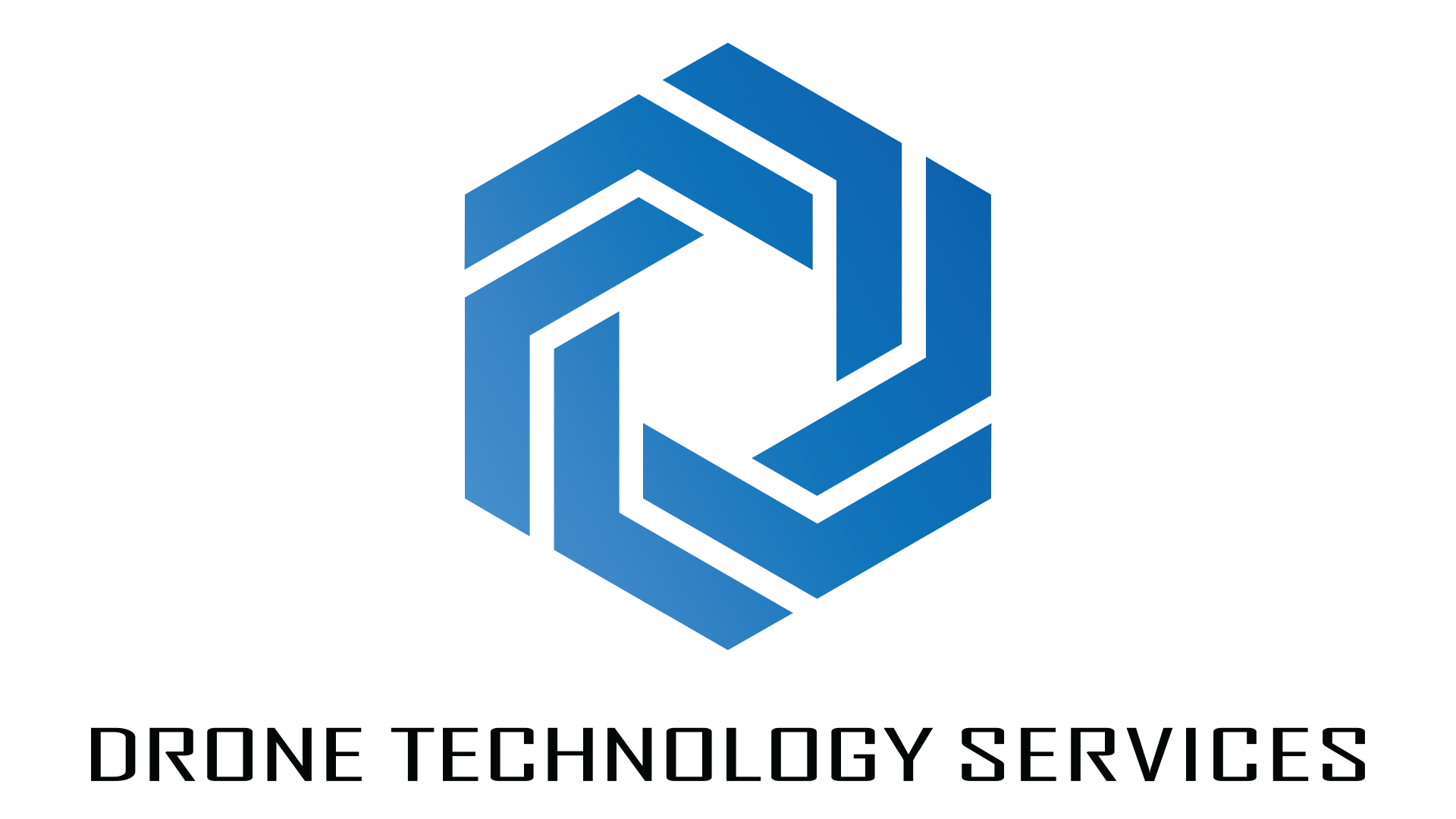 Drone Technology Services Logo